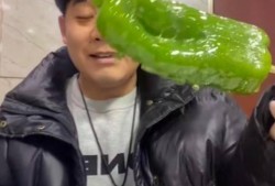 下沙网红吃瓜事件视频,揭秘网络舆论背后的真相