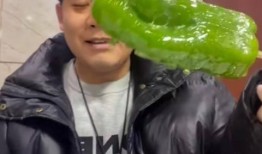 下沙网红吃瓜事件视频,揭秘网络舆论背后的真相