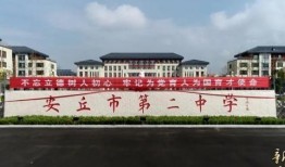 安丘最新爆料消息今天新闻,最新爆料揭示今日重大新闻事件