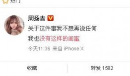 园洲今日爆料最新消息新闻