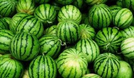 庆阳网红吃瓜事件真相,揭秘背后真相与反思