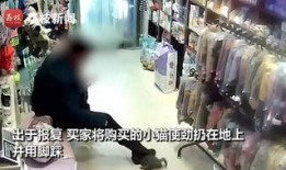 南宁外卖店爆料事件视频,揭露行业潜规则与食品安全疑云