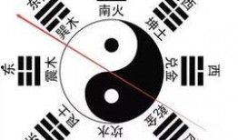 八卦爆料玩法介绍视频下载,视频攻略深度解析