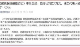 新疆旅行社爆料事件视频,揭秘行业乱象背后的真相