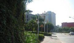 深圳龙山庄最新爆料,揭秘神秘豪宅背后的故事