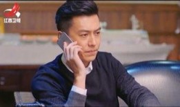 靳东爆料自己老婆视频,揭秘明星家庭生活背后真相