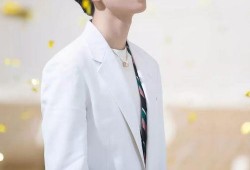 小凯哥爆料张信哲视频,揭秘不为人知的幕后故事