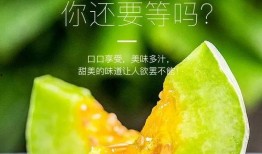 吃网红的瓜在哪里看,全网热议的“吃网红瓜”热门平台大盘点