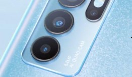 仙鱼最新爆料视频下载免费