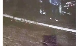 老街诈骗爆料视频