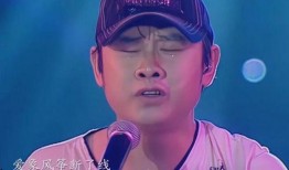 刀郎云朵爆料视频,幕后故事与音乐人生