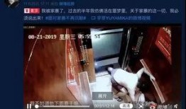 网红家暴事件爆料视频,视频揭露惊人真相，网友热议道德沦丧