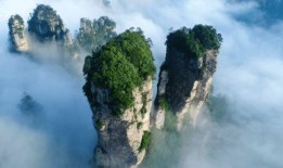 张家界节目视频最新爆料