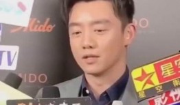 郑恺采访爆料生女喜讯视频,甜蜜分享育儿心得