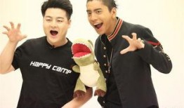 吃瓜娱乐王大陆,揭秘娱乐圈幕后故事