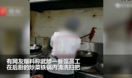 餐厅爆料视频,揭秘后厨操作与食品安全真相