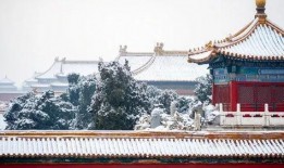 故宫停车最新爆料