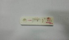 遂宁网新闻爆料热线电话,共建和谐社区