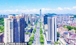 甬城楼市爆料事件视频,揭露行业乱象背后的真相