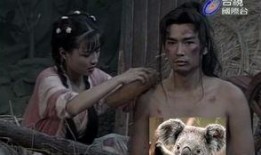 江湖小子在线观看,在线重温侠骨柔情传奇