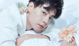 娱乐大爆料胡一天,娱乐大爆料背后的明星生活揭秘