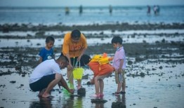 海南赶海爆料视频下载最新,最新爆料视频带你领略海洋魅力