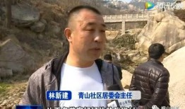 市民爆料新闻搞笑,一场“误会”引发的欢乐闹剧