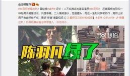 内娱记者爆料p图视频大全,P图视频大全揭秘幕后真相