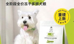 诚实一口狗粮爆料视频,狗粮满满！诚实一口揭秘网红爆料视频背后的真相