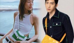 爆料刘雯井柏然事件视频,神秘片段引发热议