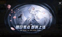 十二款新皮肤爆料视频
