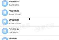 语音包最新爆料软件,软件功能革新，引领智能交互新潮流