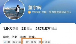 西安老刘爆料视频大全集,揭秘城市生活百态