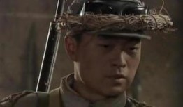 电视剧雪豹全集在线观看,热血抗战，青春无悔的传奇征程