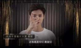 黄子诚视频爆料大全集下载,揭秘幕后真相与精彩瞬间