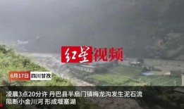 四川爆料最新,揭秘神秘事件背后的真相
